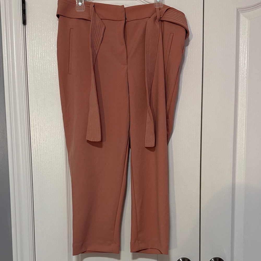 Elegant Cropped Pants in Terracotta
